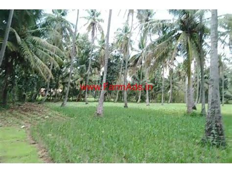 Acre Coconut Farm Land For Sale At Channapatna Kms From Highway