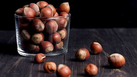 Can Dogs Eat Hazelnuts Are Hazelnuts Safe For Dogs Dogtime