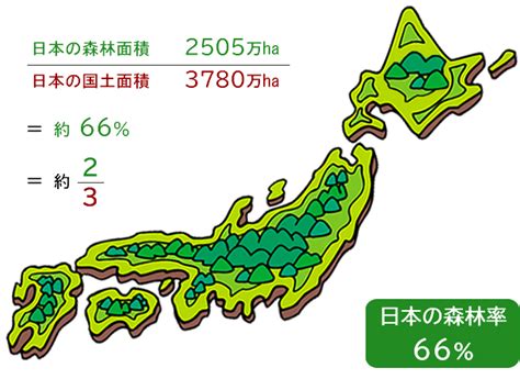 日本の森林面積と森林率