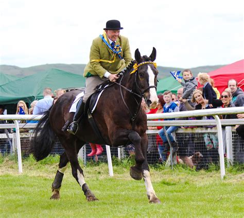 Hawick Common Riding 9th June 2017