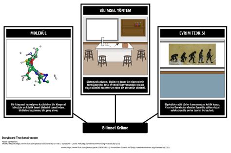 Görsel Kelime Bilgisi Bilim Storyboard by tr examples