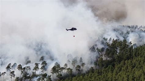 Waldbrände in Brandenburg 2023 droht weiterer Anstieg der Feuergefahr