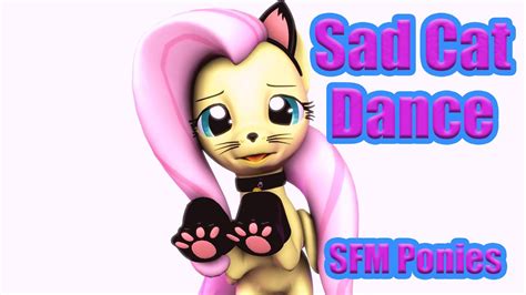 Fluttershy Sad Cat Dance [sfm Ponies] Youtube