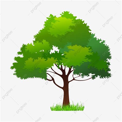 Illustration D Arbres Printemps Vert PNG Arbre Clipart Png Arbres De