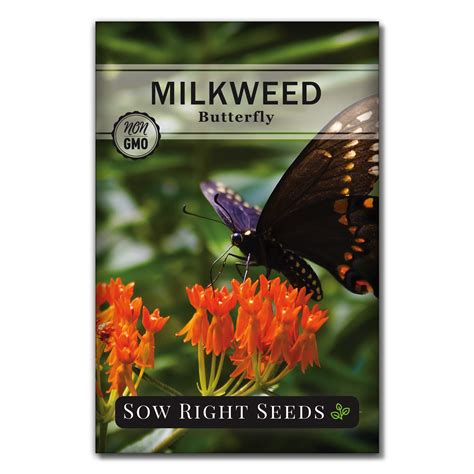 Top 5 Butterfly-Friendly Plants for Pollinator - PlantNative.org