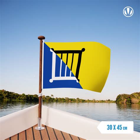 Vlag De Bilt 30x45cm Vlaggenclub