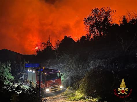 Waldbrände in Südeuropa Etliche Betroffene in der Toskana evakuiert