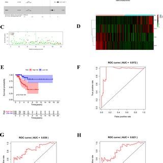 Validation Of The Risk Score Model In The Validation Set A Patients