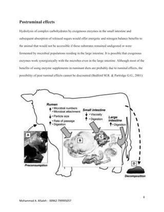 Exogenous Enzymes In Ruminant Feed PDF