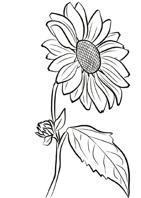 Dibujos De Flores Para Pintar Y Colorear Sunflower Coloring Pages