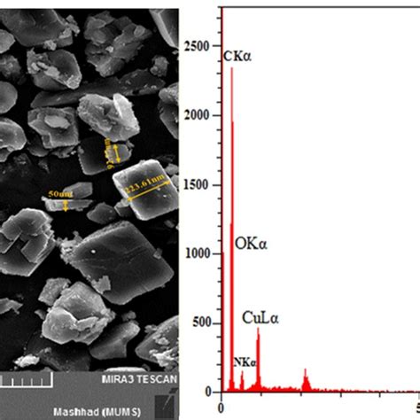 Ft Ir Spectra Of A Ligand Hl B Metal Complex 1 C Nanocrystal