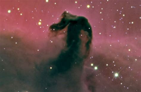 Horsehead Nebula - Universe Today