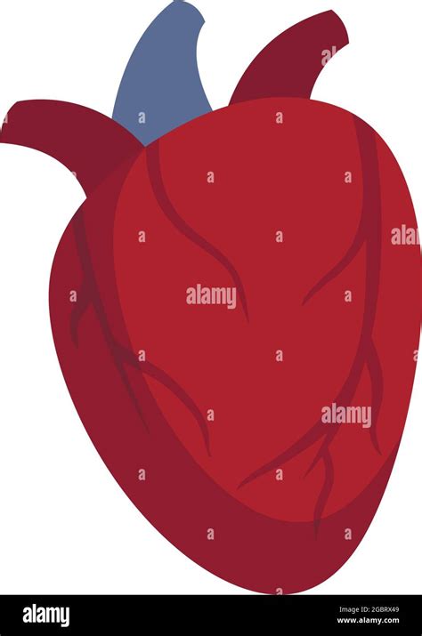 Cardiac Human Heart Icon Flat Illustration Of Cardiac Human Heart