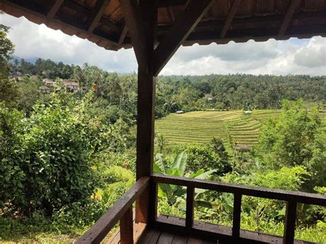 Tanah Kebun Durian View Sawah Terasering Laut Dan Gunung Di Bali