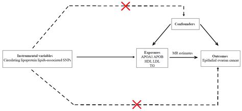 Metabolites Free Full Text Causal Effects Of Circulating Lipid