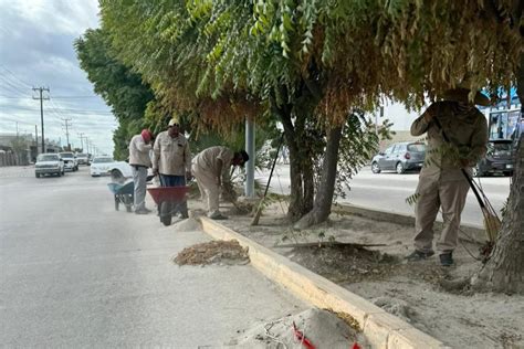 Realizan Limpieza Y Desazolve En El Zacatal