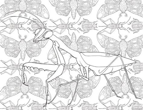 Printable Adult Coloring Page Mandala Praying Mantis Insects Etsy