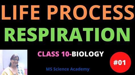 Respiration Life Process Class Cbse Science Biology Lect Aerobic