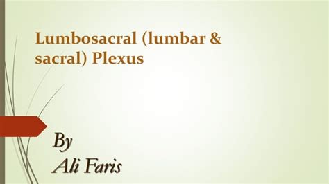 Lumbosacral Lumbar And Sacral Plexus Ppt