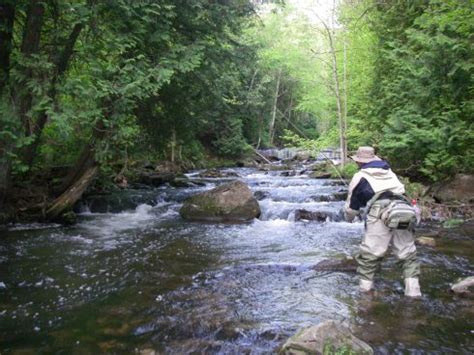 Fishing The Credit River A Perfect Drift