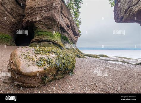 Hopewell Rocks Provincial Park On The Bay Of Fundy Is Home To An