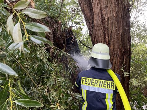 Ortsfeuerwehr Eicklingen L Scht Brennenden Baum Nach Blitzschlag