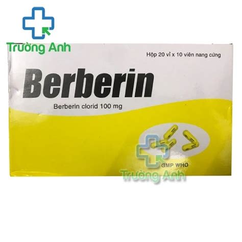 Berberin 100mg Bidiphar Thuốc điều trị tiêu chảy hiệu quả