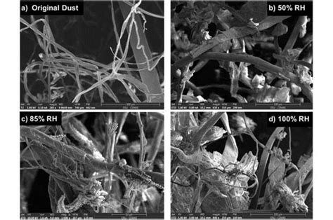 Keeping Mold Out Of Future Space Stations