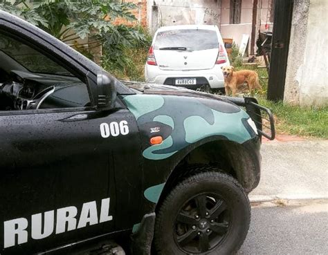 Guarda Municipal recupera carro roubado e prende mulher durante ação em