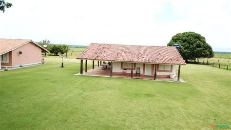 Fazenda Produtiva Preço Venda Compra MF Rural