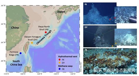 深海偏顶蛤甲烷氧化共生菌环境适应性进化研究 知乎