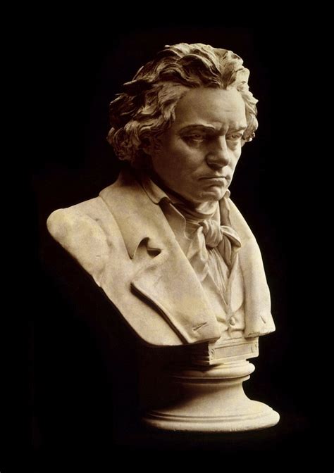 Beethoven Images | Free Photos, PNG Stickers, Wallpapers & Backgrounds ...