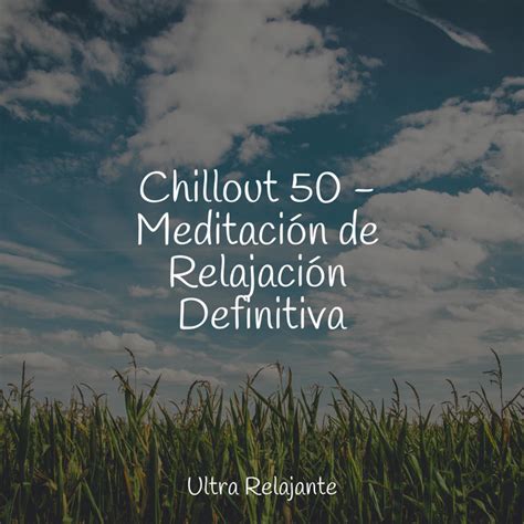 Chillout Meditaci N De Relajaci N Definitiva Album By