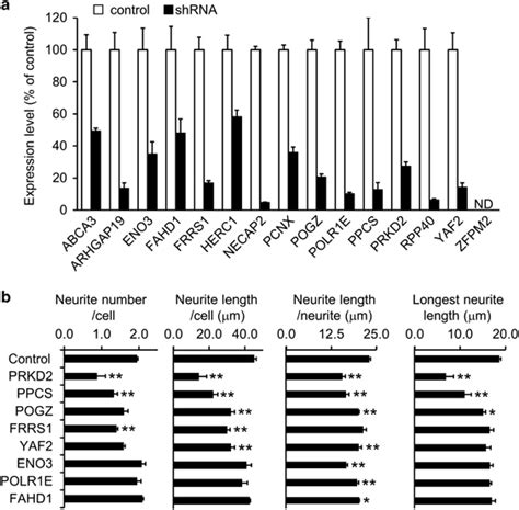 The Lentivirus Mediated Shrna Knockdown Of Candidate Susceptible Genes