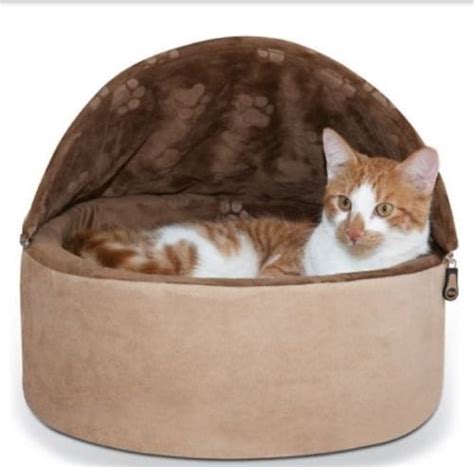 How To Decide The Best Self Heating Cat Bed For Your Cat