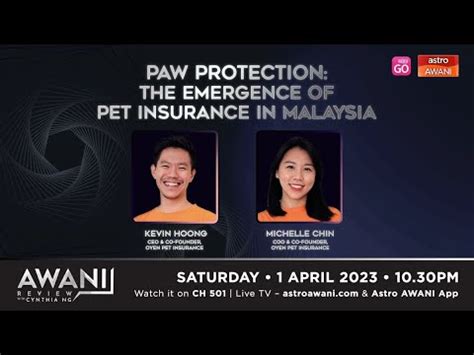 AWANI Review Paw Protection The Emergence Of Pet Insurance In