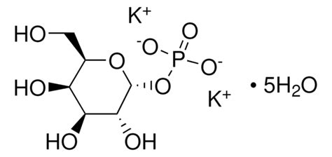 A D Glucose 1 Phosphate Sigma Aldrich