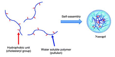 Nanogel - Assignment Point