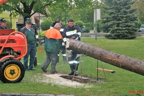 Maibaum Aufstellen Freiwillige Feuerwehr Zeiselmauer