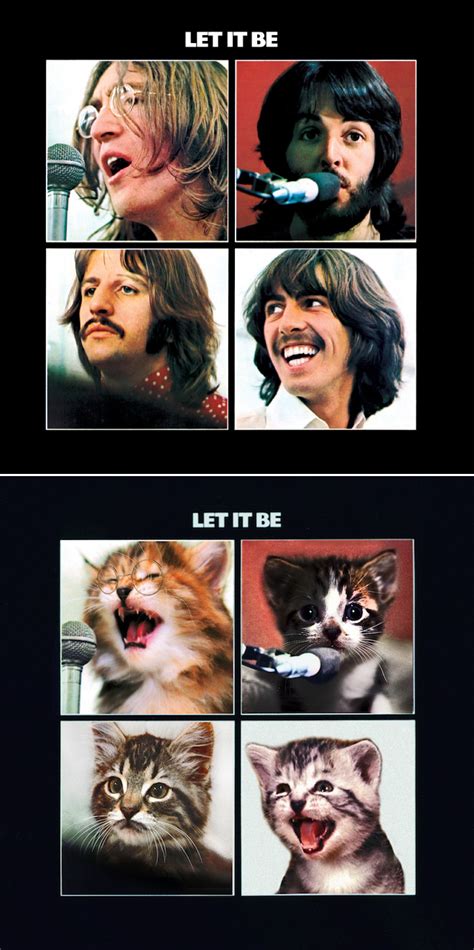 Famous Album Covers Reimagined With Kitten Charm Barnorama