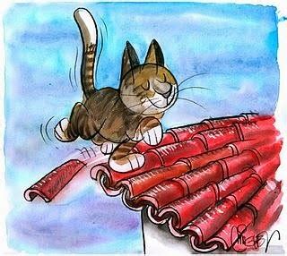O Gato Subiu No Telhado - O gato subiu no telhado