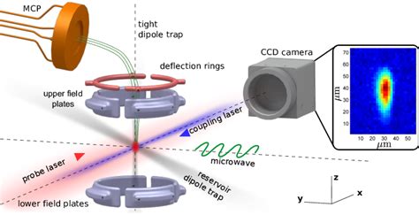 Experimental Setup For Excitation And Detection Of Rydberg Atoms In An