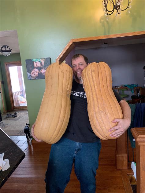 World Record Butternut Squash Seeds Etsy