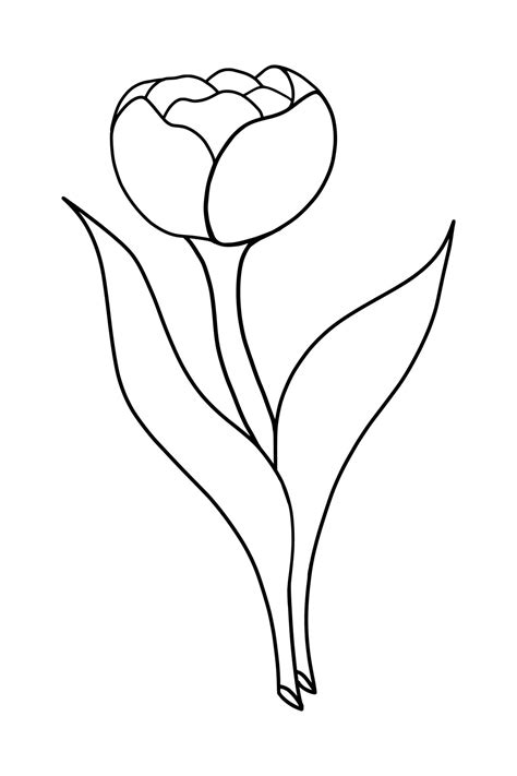 Outline tulip flower isolated on white background 22663002 Vector Art ...