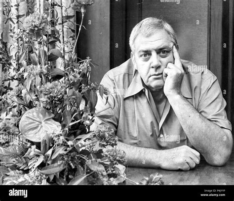 Raymond Burr Hi Res Stock Photography And Images Alamy