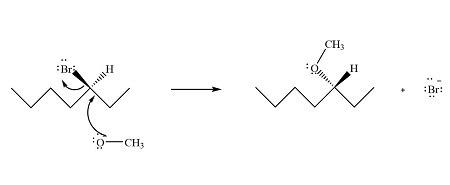 The major product of the synthesis, 3-methoxyheptane, is produced by an ...