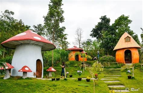 Cari Rumah Hobbit Jogja Ini Harga Tiket Dan 2 Lokasi Mangunan Dan