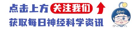 Bjp丨复旦大学脑科学研究院张玉秋团队揭示海马小胶质细胞非对称性激活参与慢性痛和抑郁的共病 脑医汇 神外资讯 神介资讯