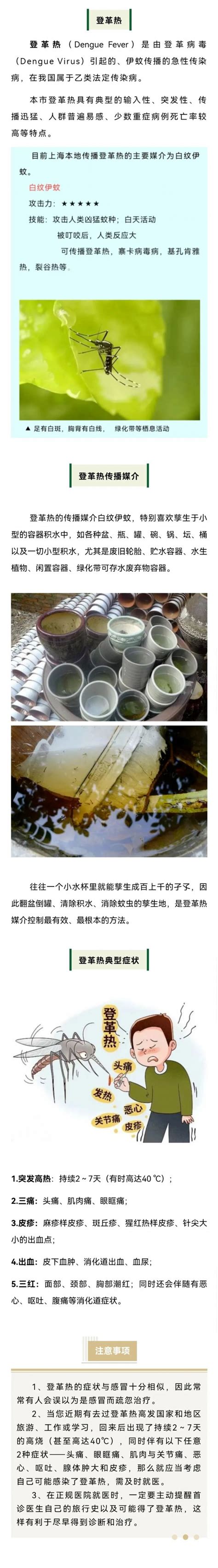 宝山疾控话健康 登革热高发季来临，注意清除积水防止蚊虫孳生