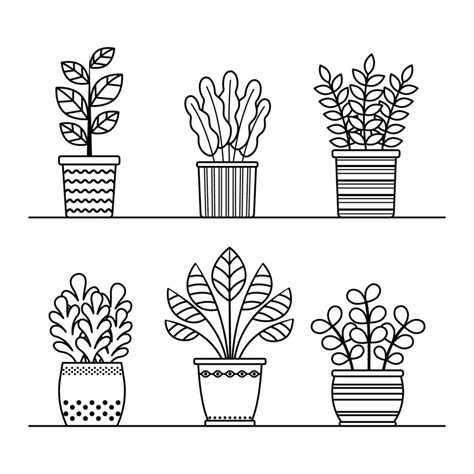 plantas de contorno vectorial en la colección de macetas flores